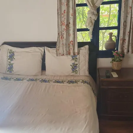 Sirince Dogadaki Evler Selçuk